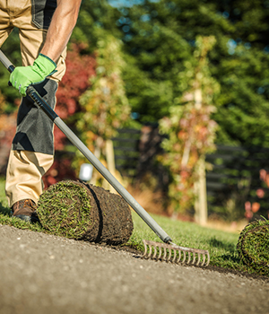Top Gardening Services in Melbourne
