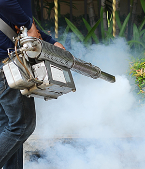 lawn care victoria