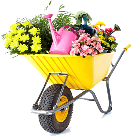 best lawn mower melbourne