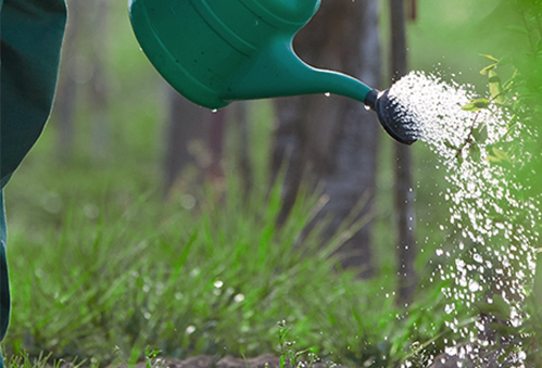 Garden maintenance Melbourne