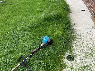 lawn mowing services melbourne