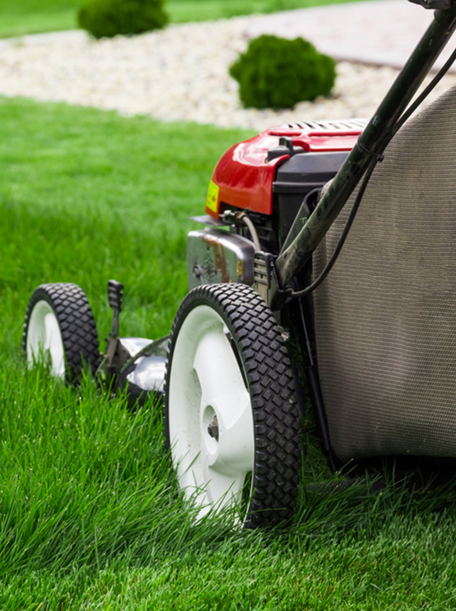 best lawn mower melbourne