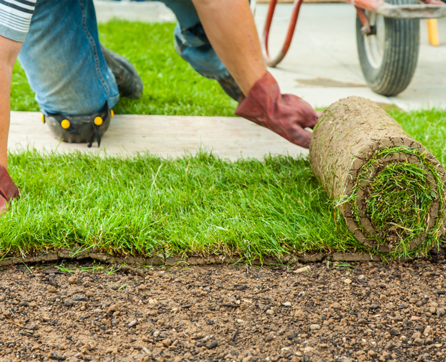 hedge trimming services melbourne