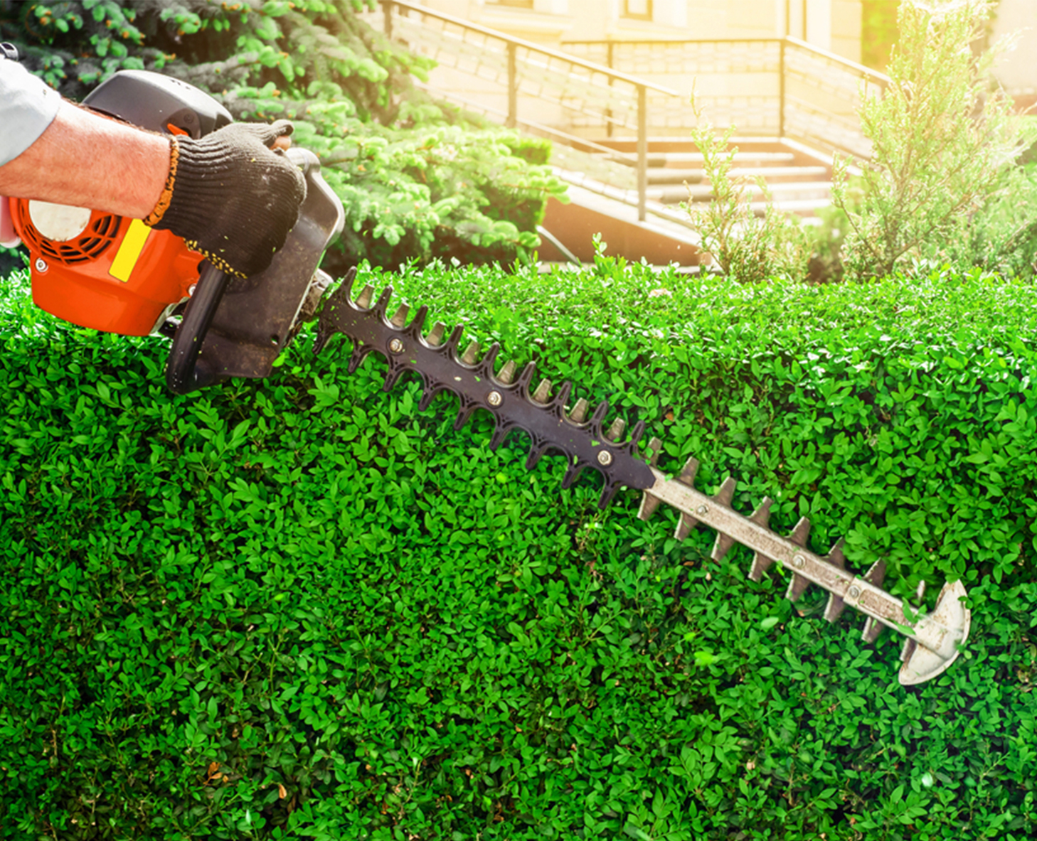 gutter cleaners melbourne