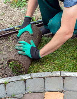 Lawn care Melbourne