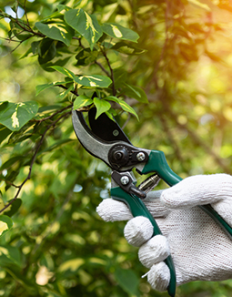 gardening services melbourne