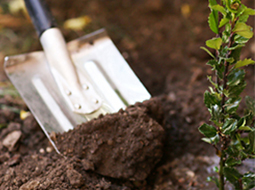 best lawn mower melbourne