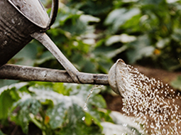 Top Gardening Services in Melbourne