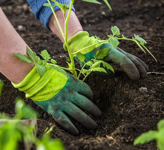 Garden maintenance Melbourne