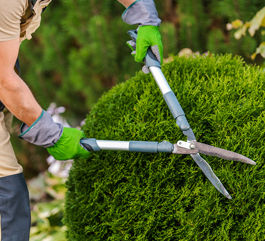 Garden maintenance Melbourne