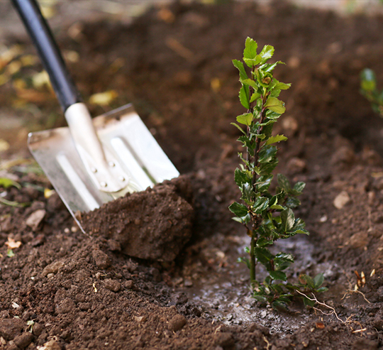 Garden maintenance Melbourne